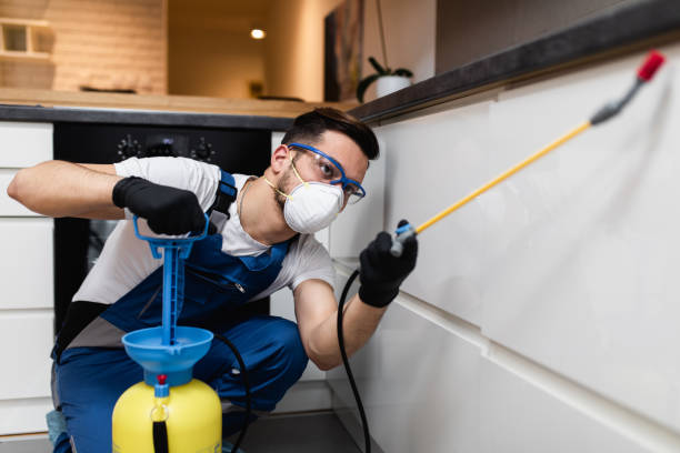 Best Local Pest Control Services  in Utica, NY
