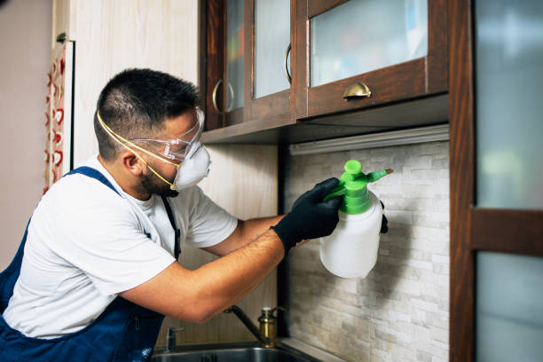 Best Termite Control Services  in Utica, NY