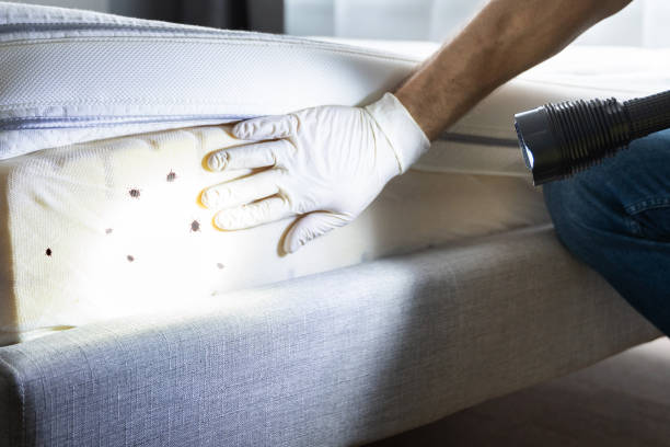 Best Best Pest Control Companies  in Utica, NY